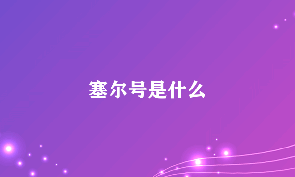 塞尔号是什么