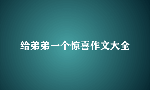 给弟弟一个惊喜作文大全