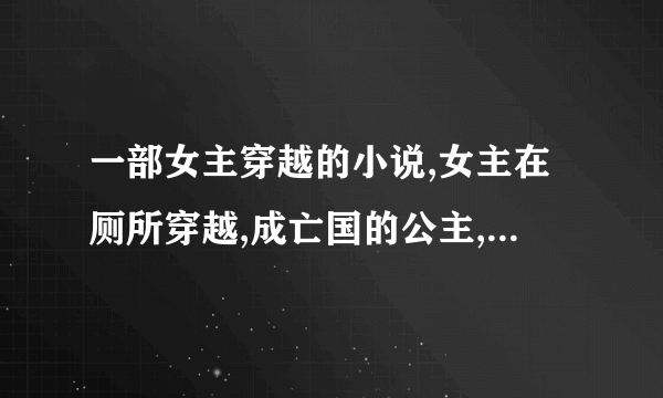 一部女主穿越的小说,女主在厕所穿越,成亡国的公主,被皇帝看好，因不从，被许给了王爷，一个妃子告诉