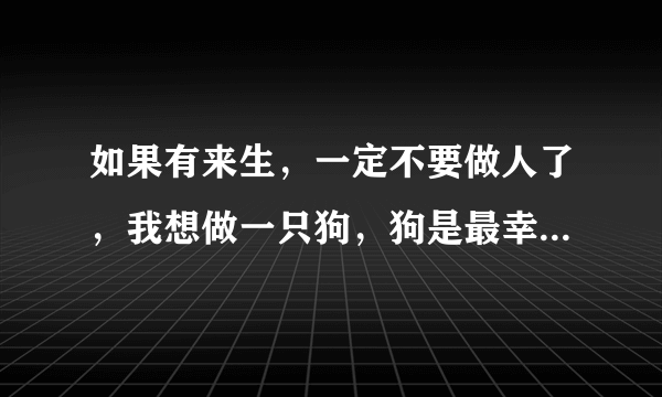 如果有来生，一定不要做人了，我想做一只狗，狗是最幸福的了，不用付出任何劳动