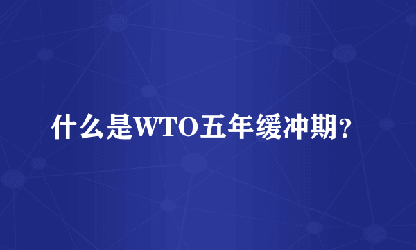 什么是WTO五年缓冲期？