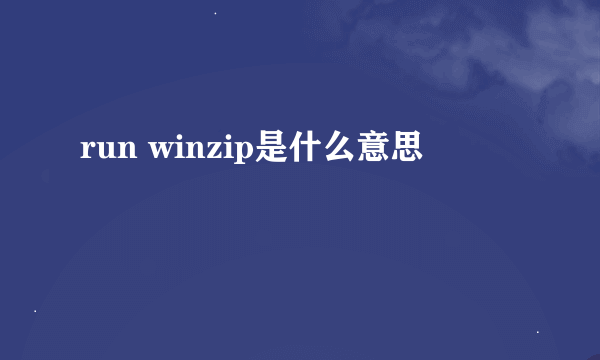 run winzip是什么意思