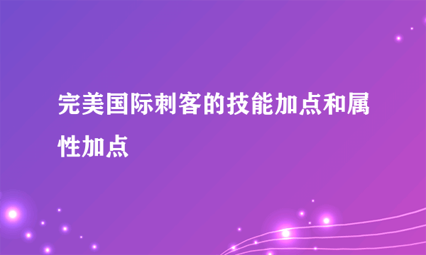 完美国际刺客的技能加点和属性加点