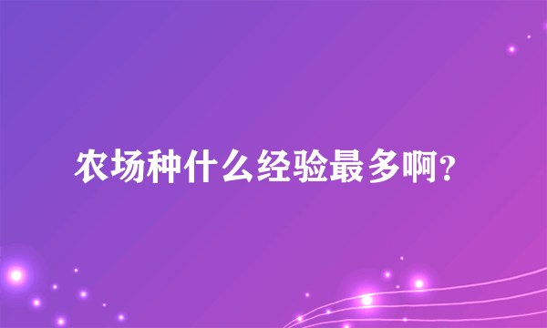 农场种什么经验最多啊？