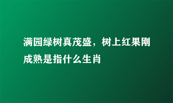 满园绿树真茂盛，树上红果刚成熟是指什么生肖