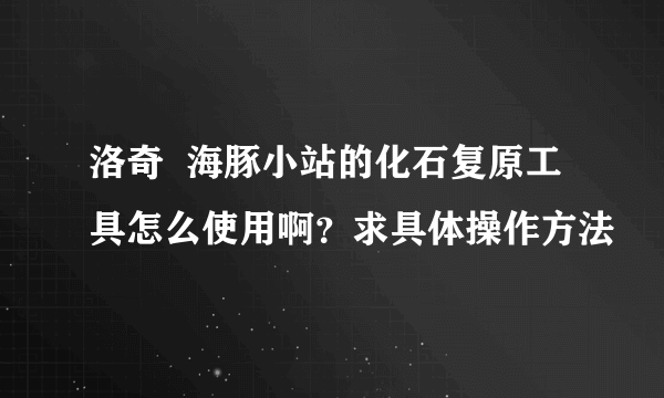 洛奇  海豚小站的化石复原工具怎么使用啊？求具体操作方法