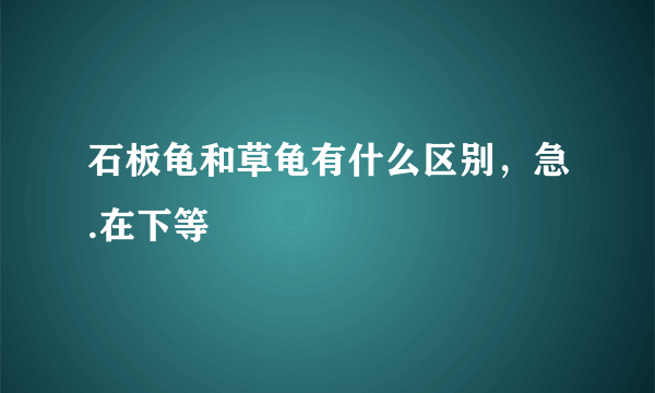 石板龟和草龟有什么区别，急.在下等