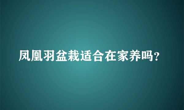 凤凰羽盆栽适合在家养吗？