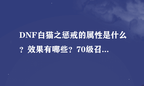 DNF白猫之惩戒的属性是什么？效果有哪些？70级召唤戴什么戒指好？