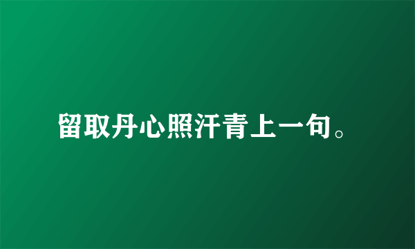 留取丹心照汗青上一句。