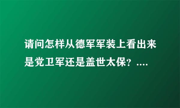 请问怎样从德军军装上看出来是党卫军还是盖世太保？...之类的