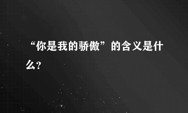 “你是我的骄傲”的含义是什么？