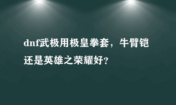 dnf武极用极皇拳套，牛臂铠还是英雄之荣耀好？