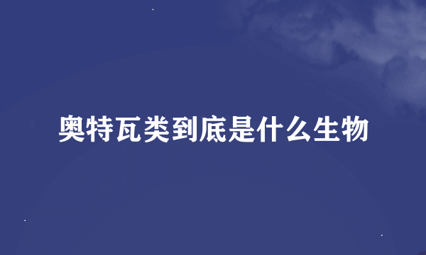 奥特瓦类到底是什么生物