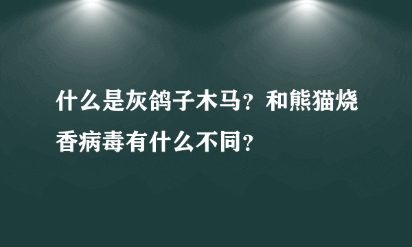 什么是灰鸽子木马？和熊猫烧香病毒有什么不同？