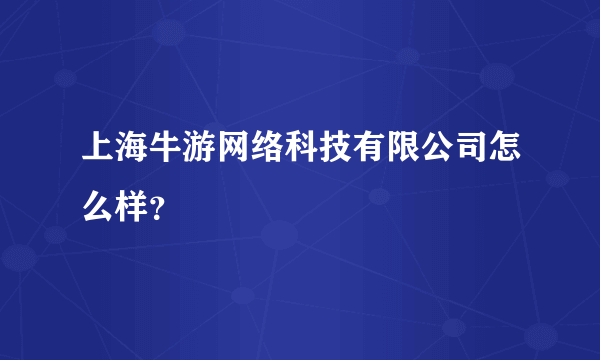 上海牛游网络科技有限公司怎么样？