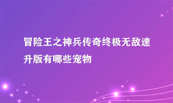 冒险王之神兵传奇终极无敌速升版有哪些宠物