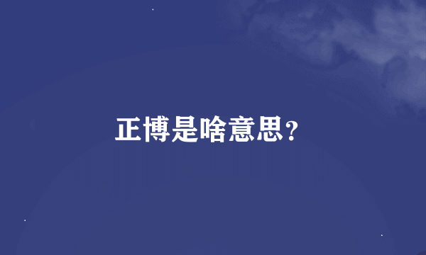 正博是啥意思？