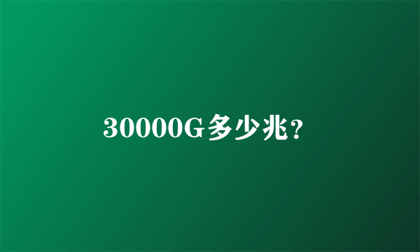 30000G多少兆？