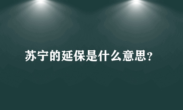 苏宁的延保是什么意思？