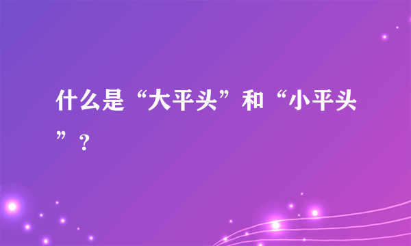 什么是“大平头”和“小平头”？