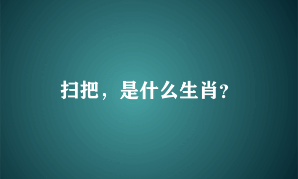 扫把，是什么生肖？