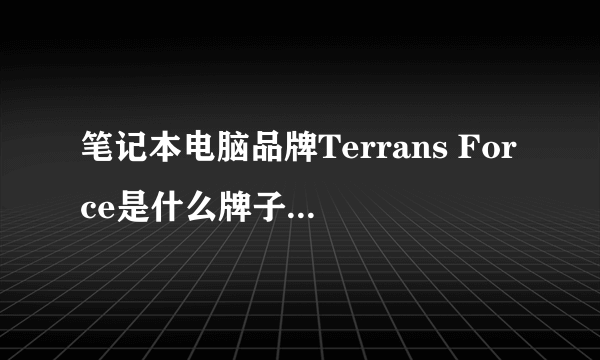 笔记本电脑品牌Terrans Force是什么牌子，中文名，原厂国哪里的？