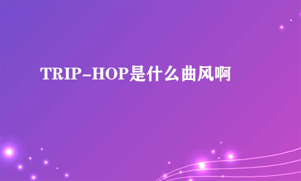 TRIP-HOP是什么曲风啊