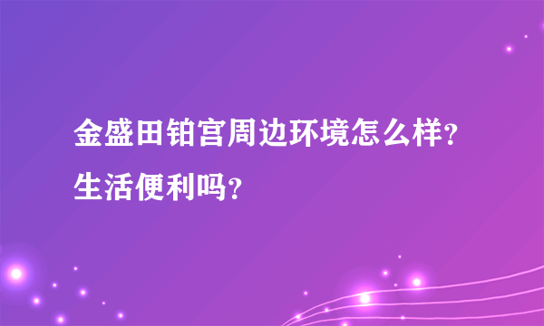 金盛田铂宫周边环境怎么样？生活便利吗？