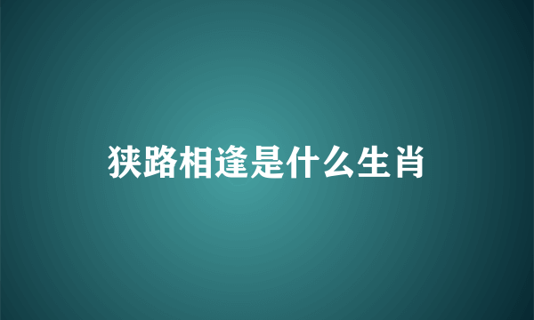 狭路相逢是什么生肖