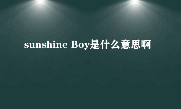 sunshine Boy是什么意思啊