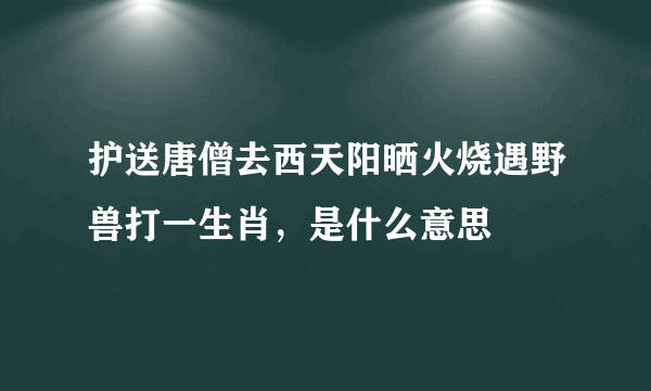 护送唐僧去西天阳晒火烧遇野兽打一生肖，是什么意思