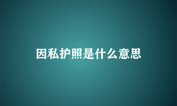 因私护照是什么意思