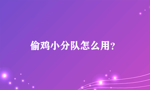 偷鸡小分队怎么用？