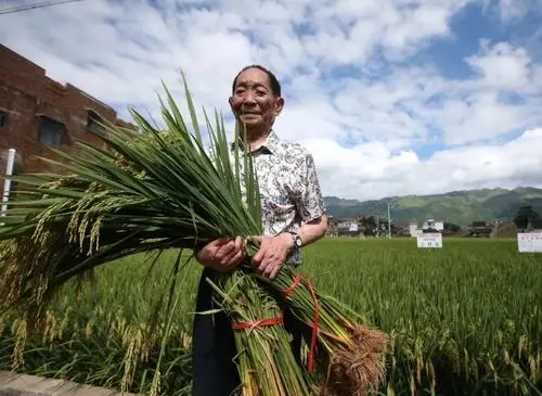 袁隆平影像出现在百年文艺演出上时，在场观众当时有何反应？