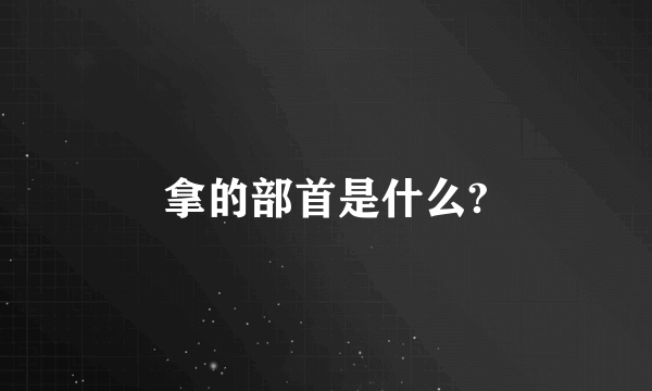 拿的部首是什么?