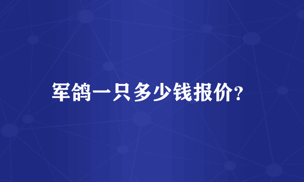 军鸽一只多少钱报价？