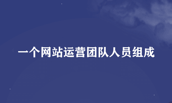 一个网站运营团队人员组成