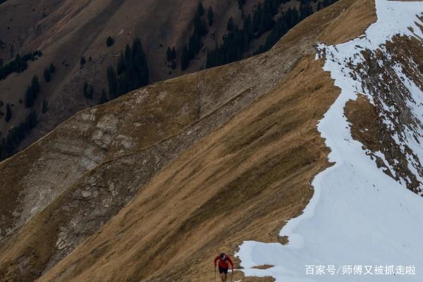 甘肃越野跑前6名唯一幸存者遭网暴，到底是怎么回事？