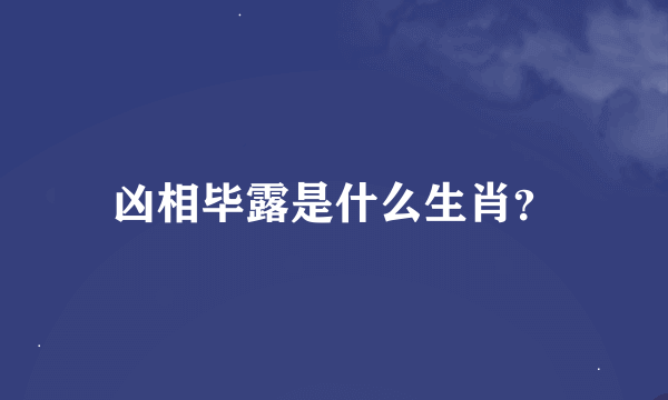 凶相毕露是什么生肖？