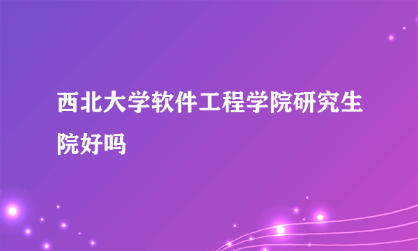 西北大学软件工程学院研究生院好吗