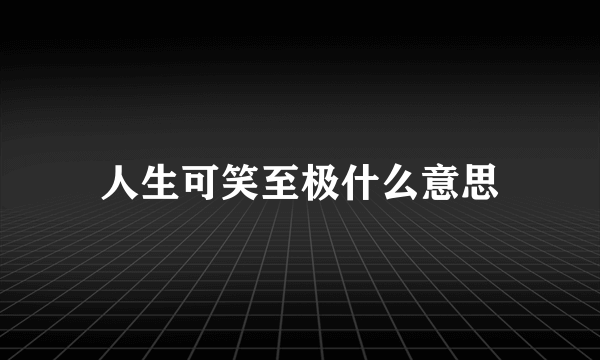 人生可笑至极什么意思