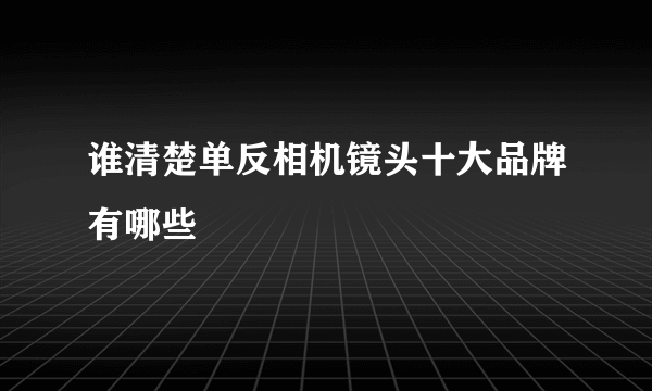 谁清楚单反相机镜头十大品牌有哪些