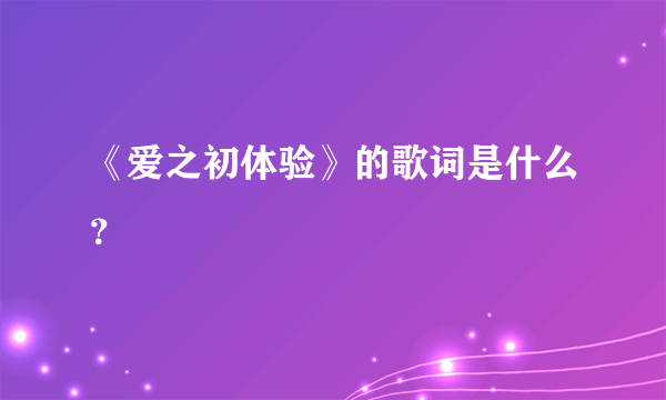 《爱之初体验》的歌词是什么？