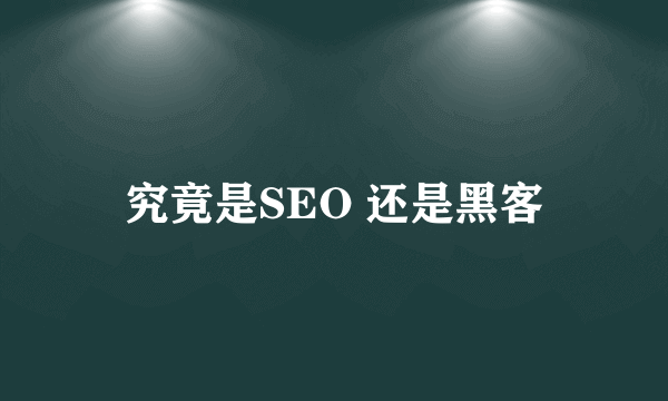 究竟是SEO 还是黑客