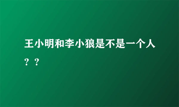 王小明和李小狼是不是一个人？？