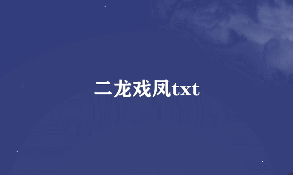 二龙戏凤txt