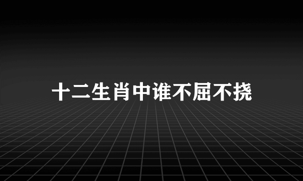 十二生肖中谁不屈不挠