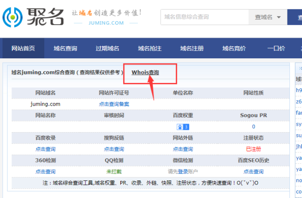 具体怎么查看一个网站的域名信息？