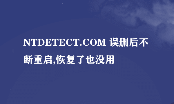 NTDETECT.COM 误删后不断重启,恢复了也没用